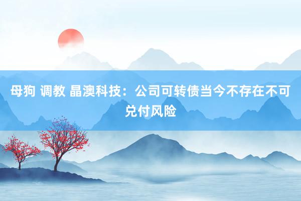 母狗 调教 晶澳科技：公司可转债当今不存在不可兑付风险