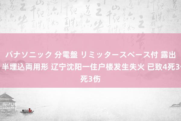 パナソニック 分電盤 リミッタースペース付 露出・半埋込両用形 辽宁沈阳一住户楼发生失火 已致4死3伤