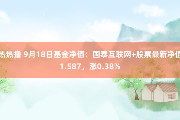 热热撸 9月18日基金净值：国泰互联网+股票最新净值1.587，涨0.38%