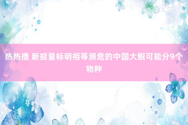 热热撸 新掂量标明相等濒危的中国大鲵可能分9个物种