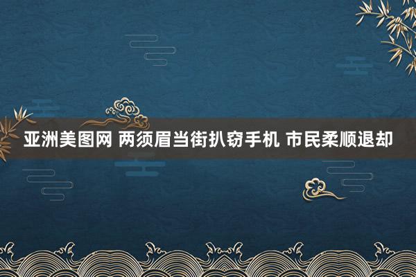 亚洲美图网 两须眉当街扒窃手机 市民柔顺退却