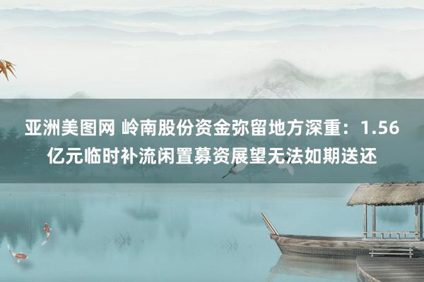 亚洲美图网 岭南股份资金弥留地方深重：1.56亿元临时补流闲置募资展望无法如期送还