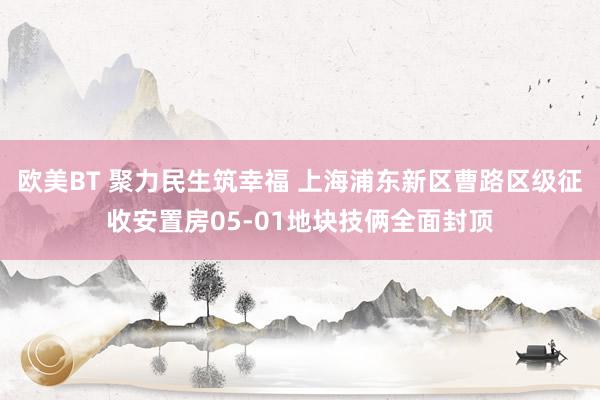 欧美BT 聚力民生筑幸福 上海浦东新区曹路区级征收安置房05-01地块技俩全面封顶