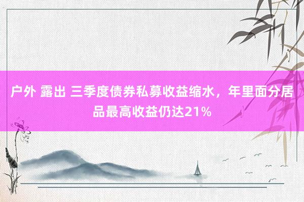 户外 露出 三季度债券私募收益缩水，年里面分居品最高收益仍达21%