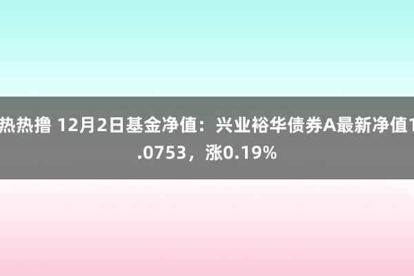 热热撸 12月2日基金净值：兴业裕华债券A最新净值1.0753，涨0.19%