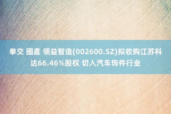 拳交 國產 领益智造(002600.SZ)拟收购江苏科达66.46%股权 切入汽车饰件行业