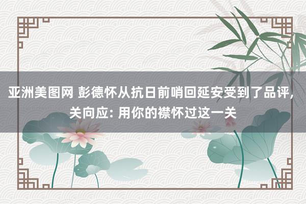 亚洲美图网 彭德怀从抗日前哨回延安受到了品评, 关向应: 用