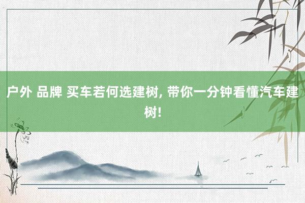 户外 品牌 买车若何选建树, 带你一分钟看懂汽车建树!