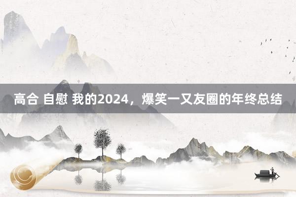 高合 自慰 我的2024，爆笑一又友圈的年终总结