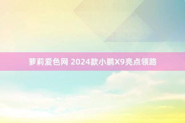 萝莉爱色网 2024款小鹏X9亮点领路