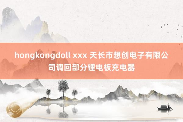 hongkongdoll xxx 天长市想创电子有限公司调回部分锂电板充电器