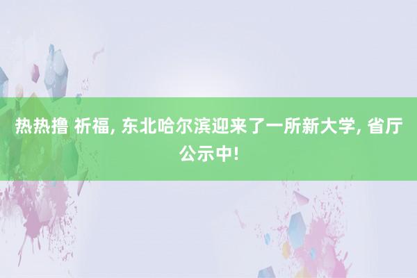 热热撸 祈福， 东北哈尔滨迎来了一所新大学， 省厅公示中!