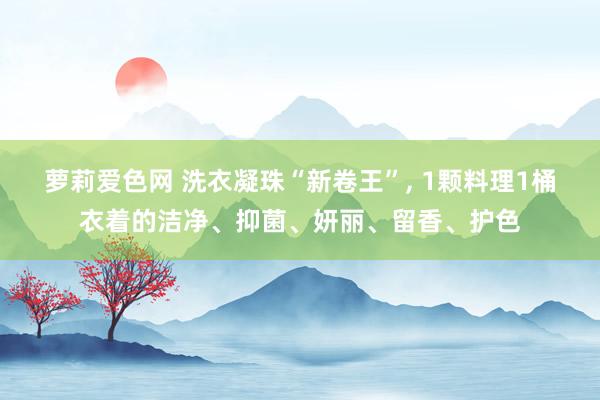 萝莉爱色网 洗衣凝珠“新卷王”, 1颗料理1桶衣着的洁净、抑