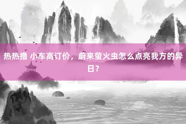 热热撸 小车高订价，蔚来萤火虫怎么点亮我方的异日？