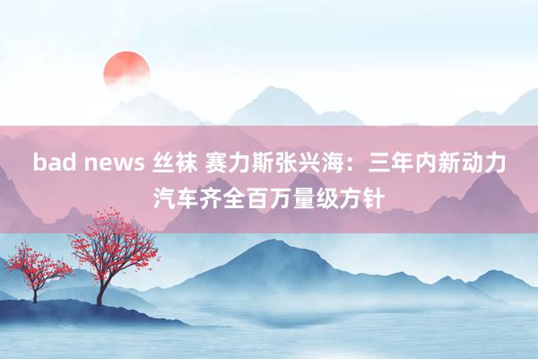 bad news 丝袜 赛力斯张兴海：三年内新动力汽车齐全百