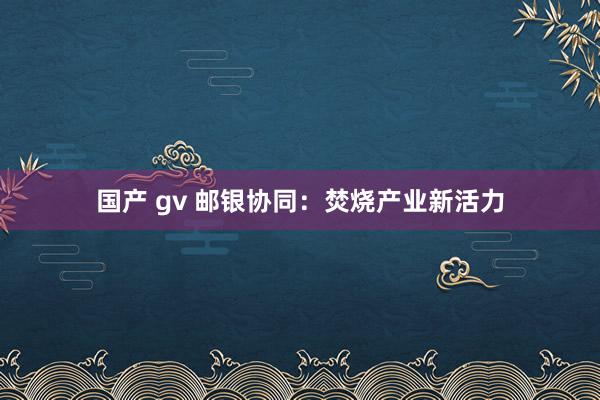 国产 gv 邮银协同：焚烧产业新活力