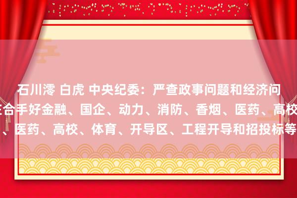 石川澪 白虎 中央纪委：严查政事问题和经济问题交汇的恶臭案件