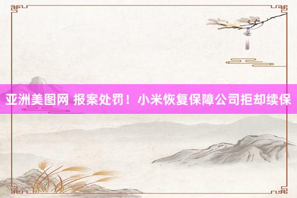 亚洲美图网 报案处罚！小米恢复保障公司拒却续保